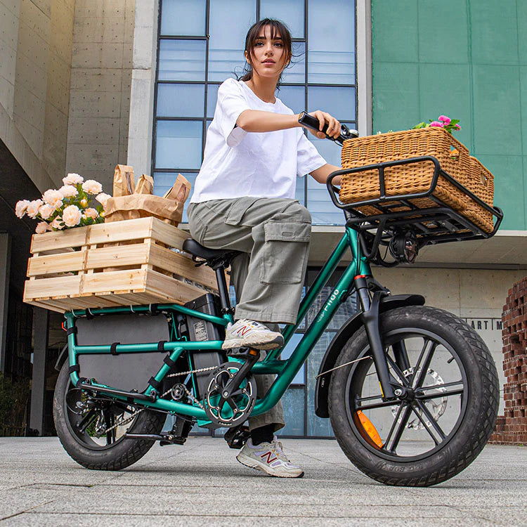 FIIDO - T2 Longtail Cargo E-bike 750W 20.5MPH