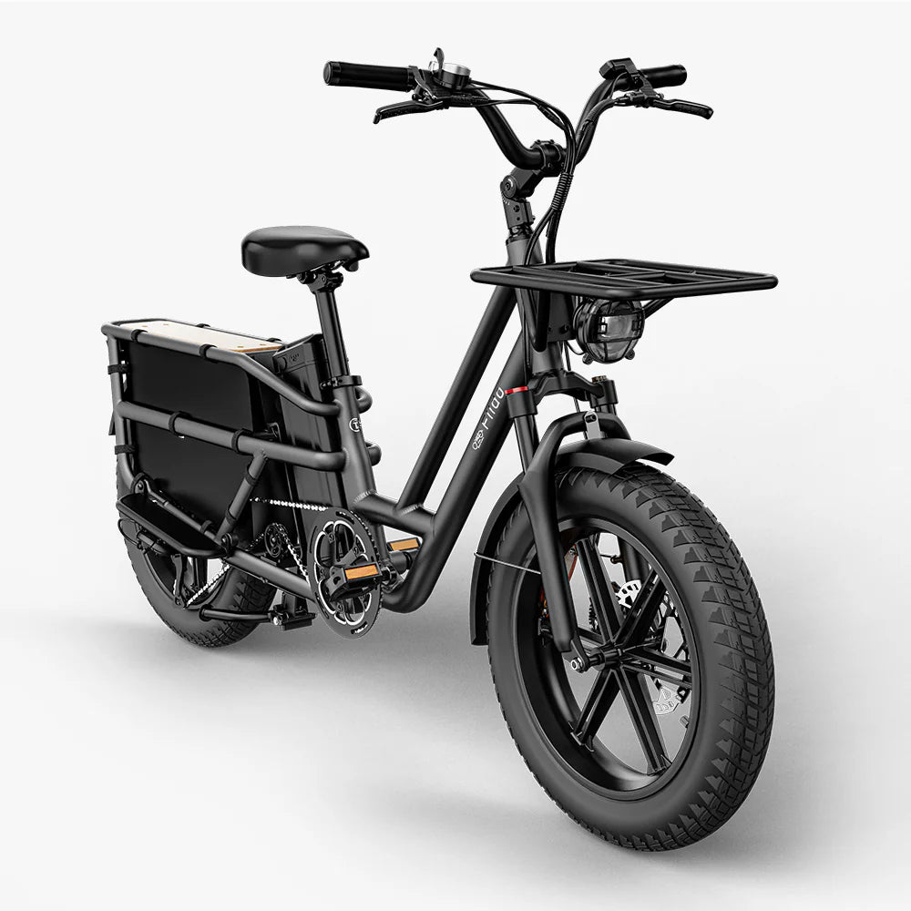 FIIDO - T2 Longtail Cargo E-bike 750W 20.5MPH