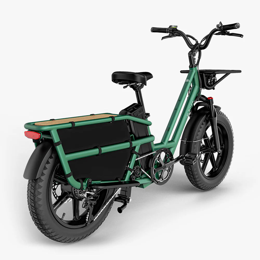 FIIDO - T2 Longtail Cargo E-bike 750W 20.5MPH