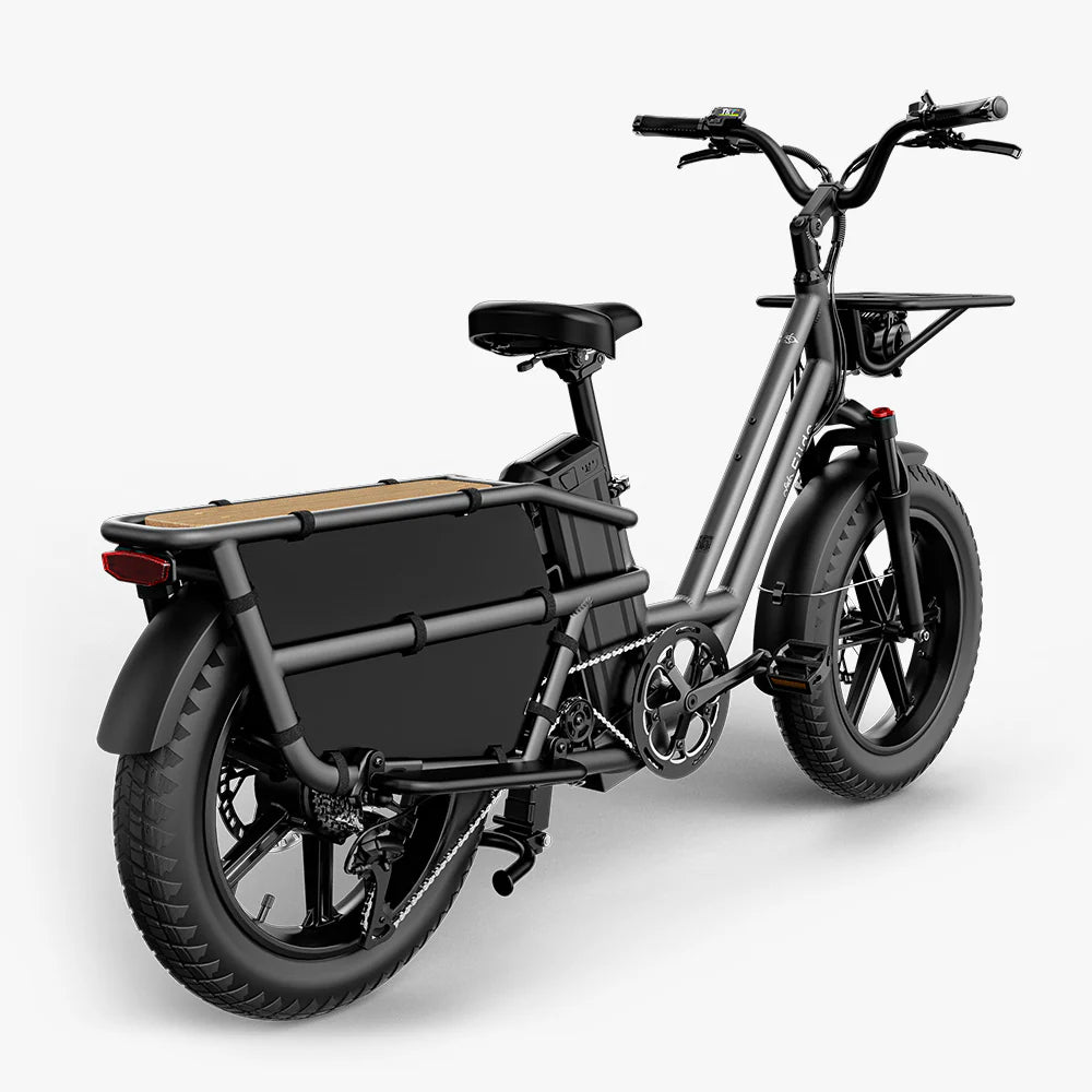 FIIDO - T2 Longtail Cargo E-bike 750W 20.5MPH