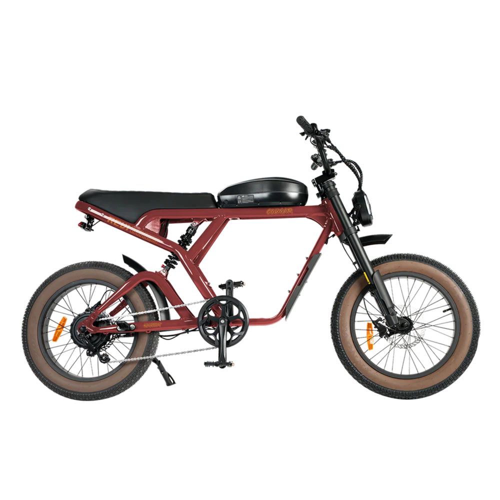 REVI BIKES - Cougar Vintage Electric Bike 52V 1000W 34mph