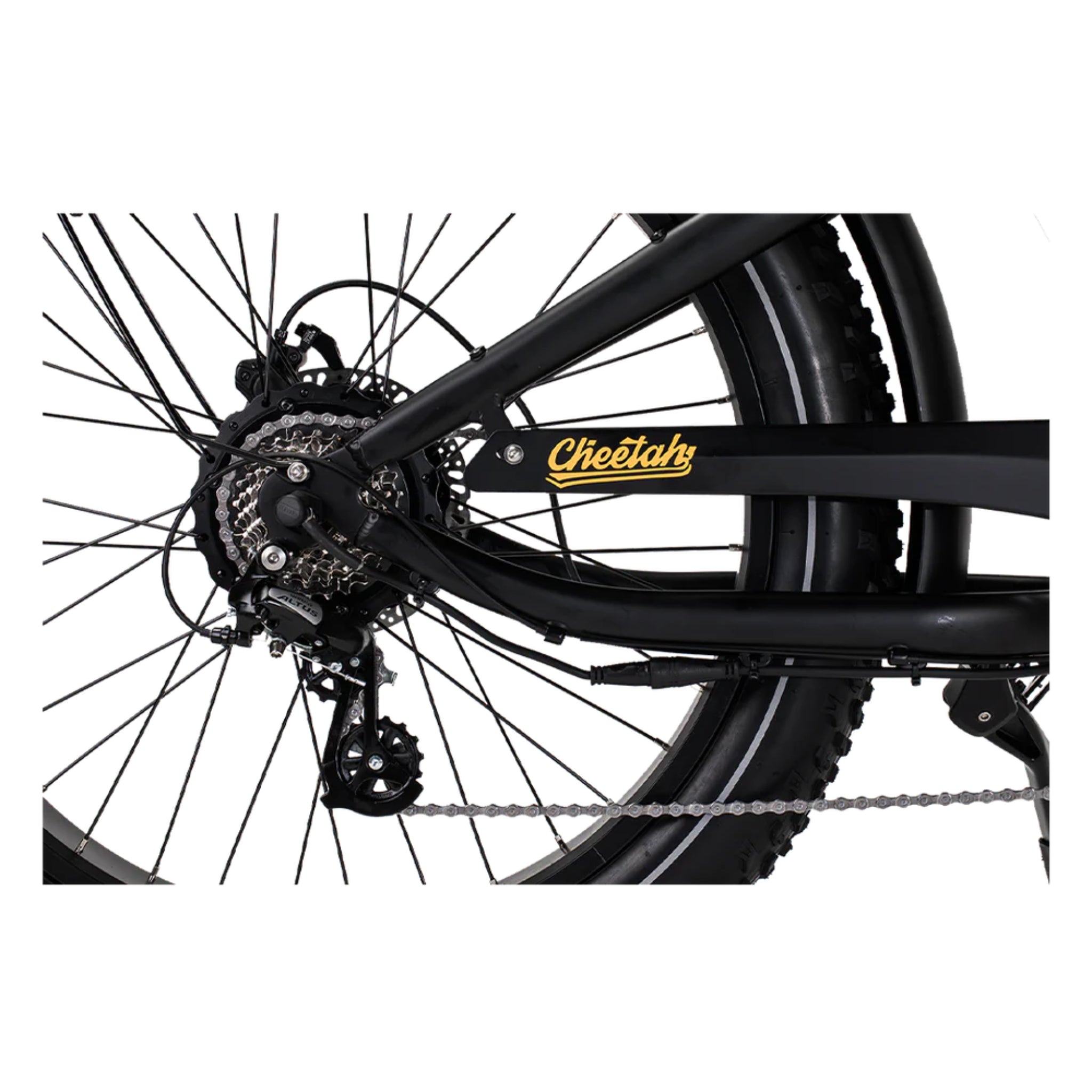 REVI BIKES - Cheetah Plus, Vintage Electric Bike 48V 750W 28mph