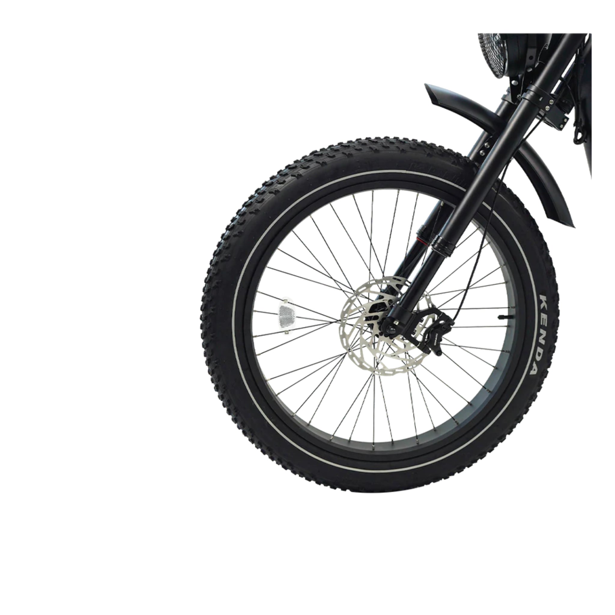 REVI BIKES - Cheetah Pro, Vintage Electric Bike 48V 1000W 33mph