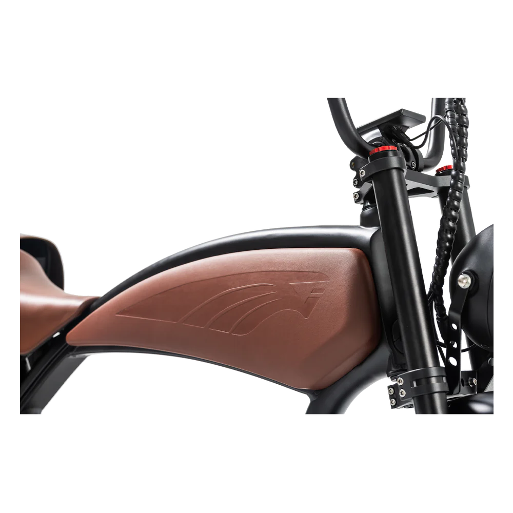 REVI BIKES - Prowler, Vintage Electric Bike 52V 100W 28mph
