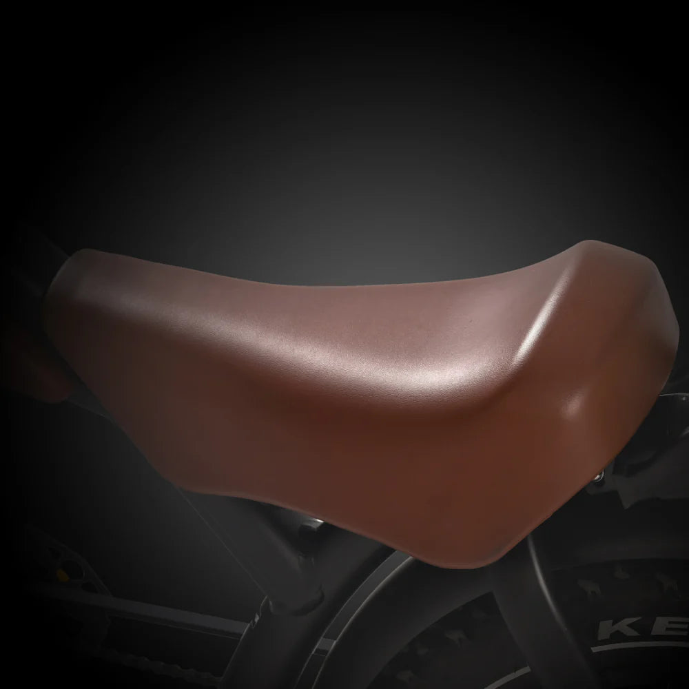 REVI BIKES - Prowler, Vintage Electric Bike 52V 100W 28mph