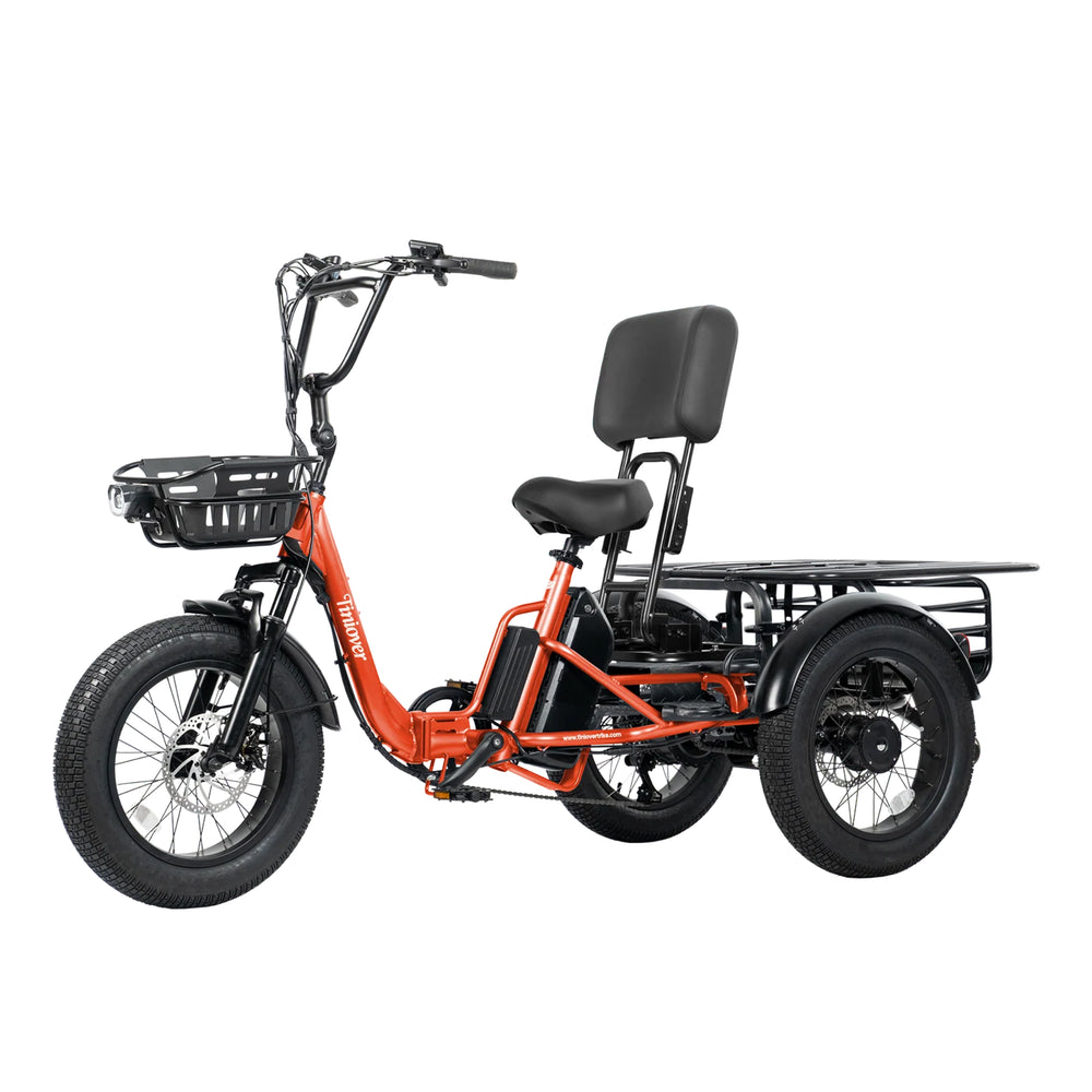 TINIOVER - Creek Pro, Electric Trike for 2 Passengers 48V 750W 20MPH