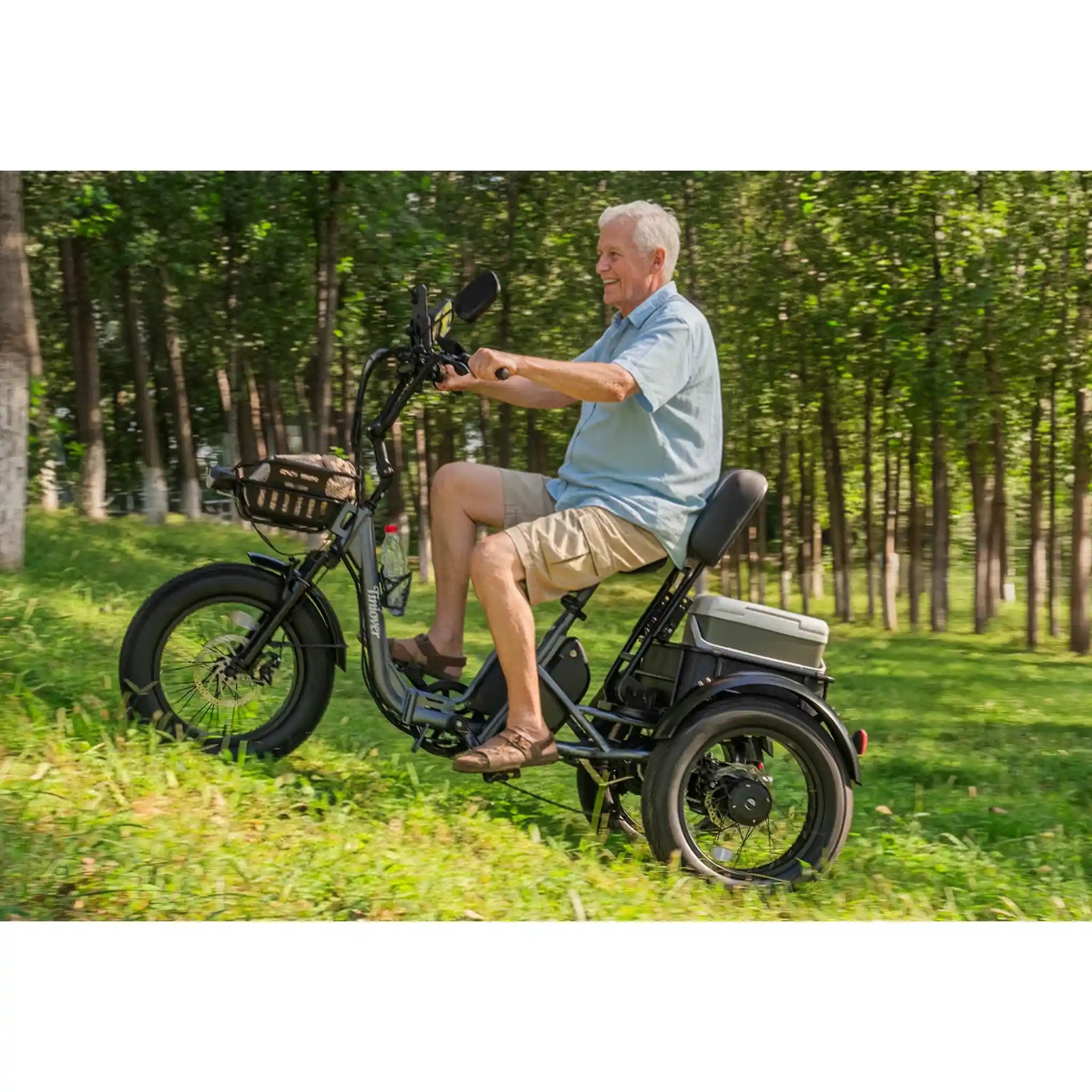 TINIOVER - Creek Pro, Electric Trike for 2 Passengers 48V 750W 20MPH