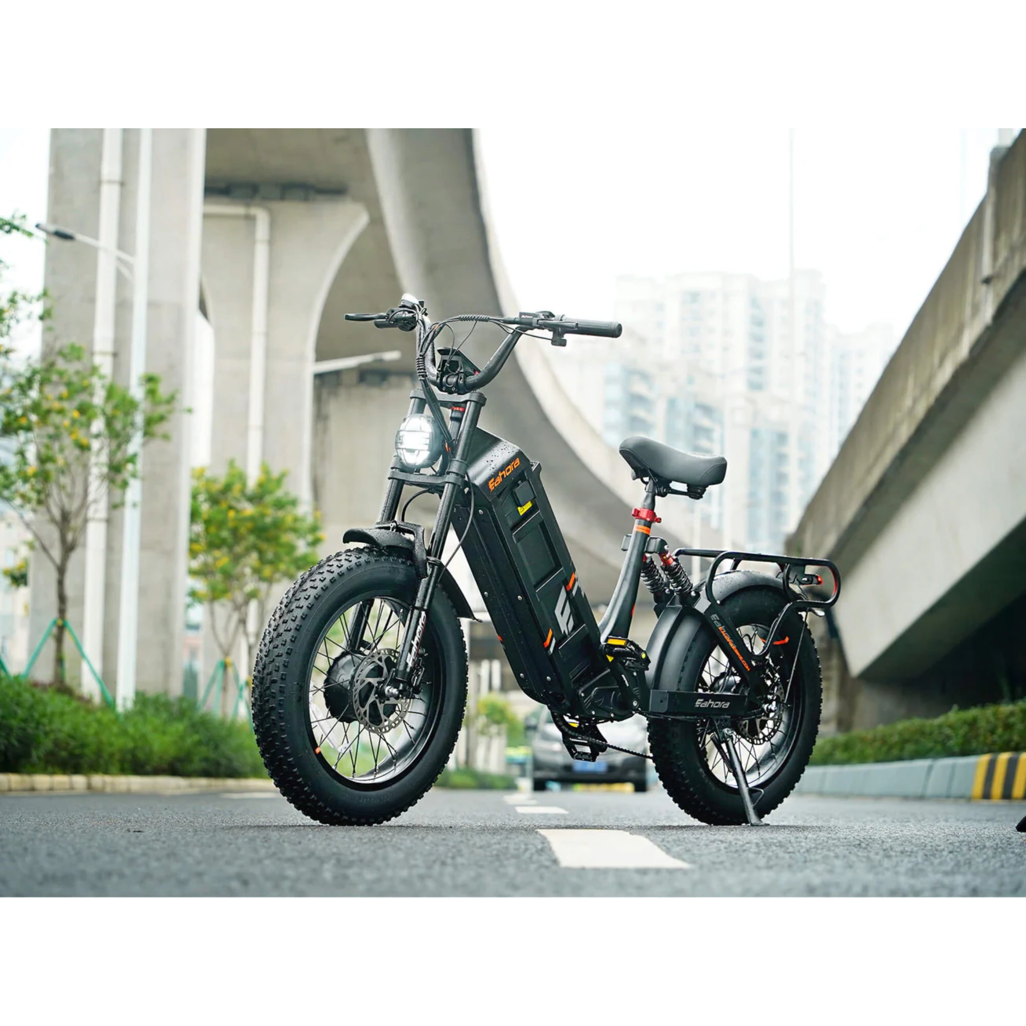 EAHORA - Juliet III, Long Range Electric Bike 48V 2000W