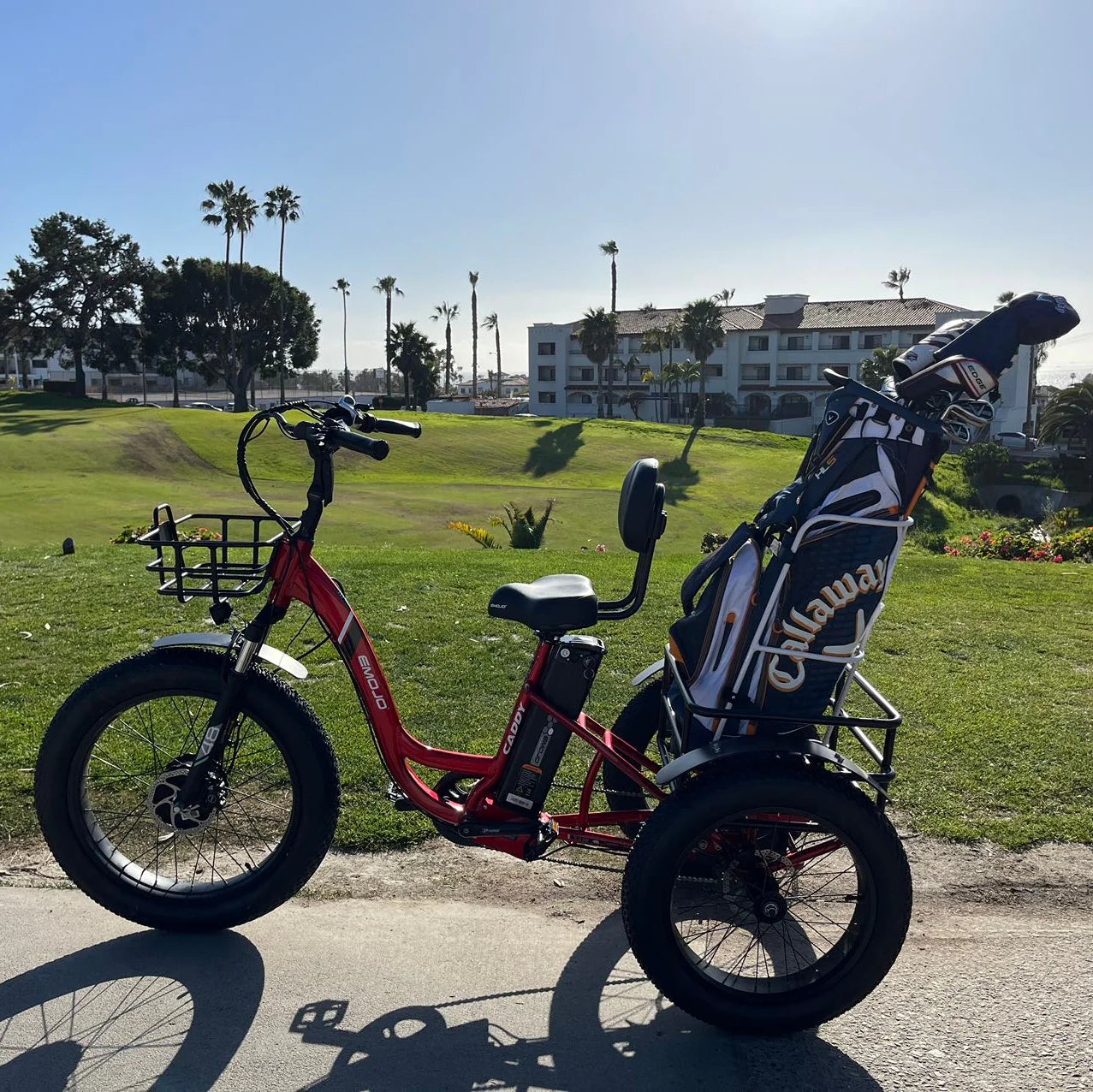 EMOJO - Golf Bag Rack