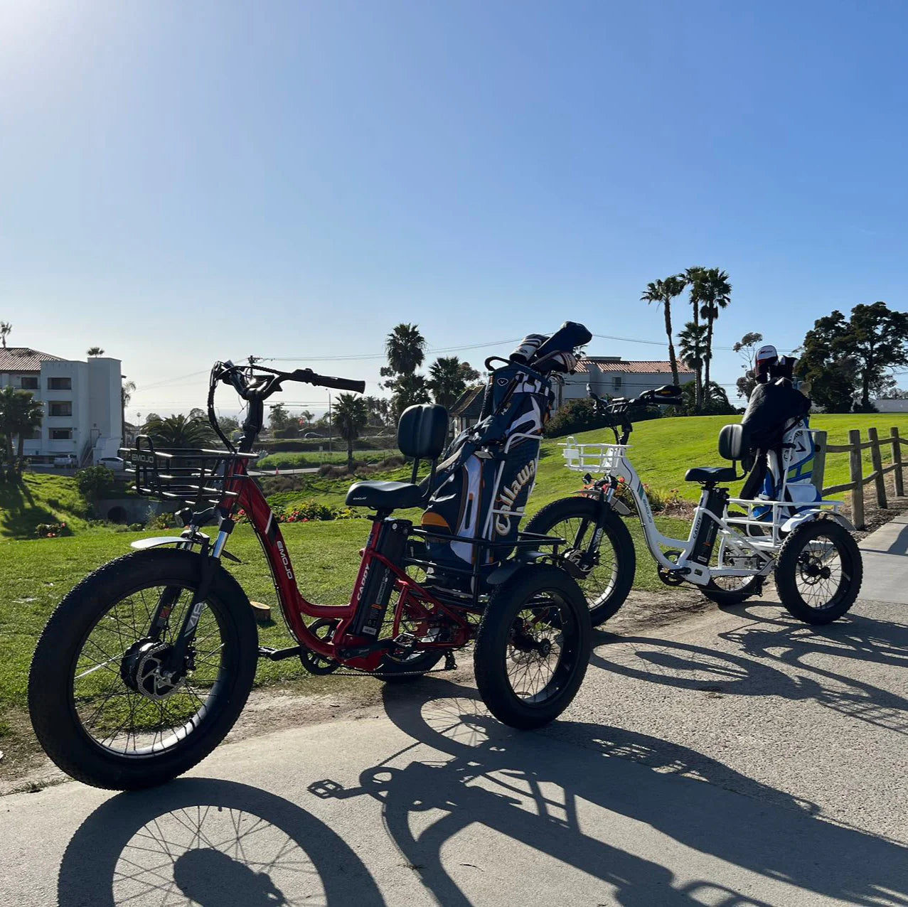 EMOJO - Golf Bag Rack