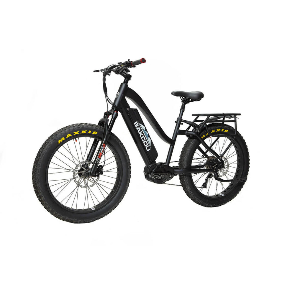 BAKCOU - MULE Step-Through (ST) 24" Electric Bike 48V 1500W