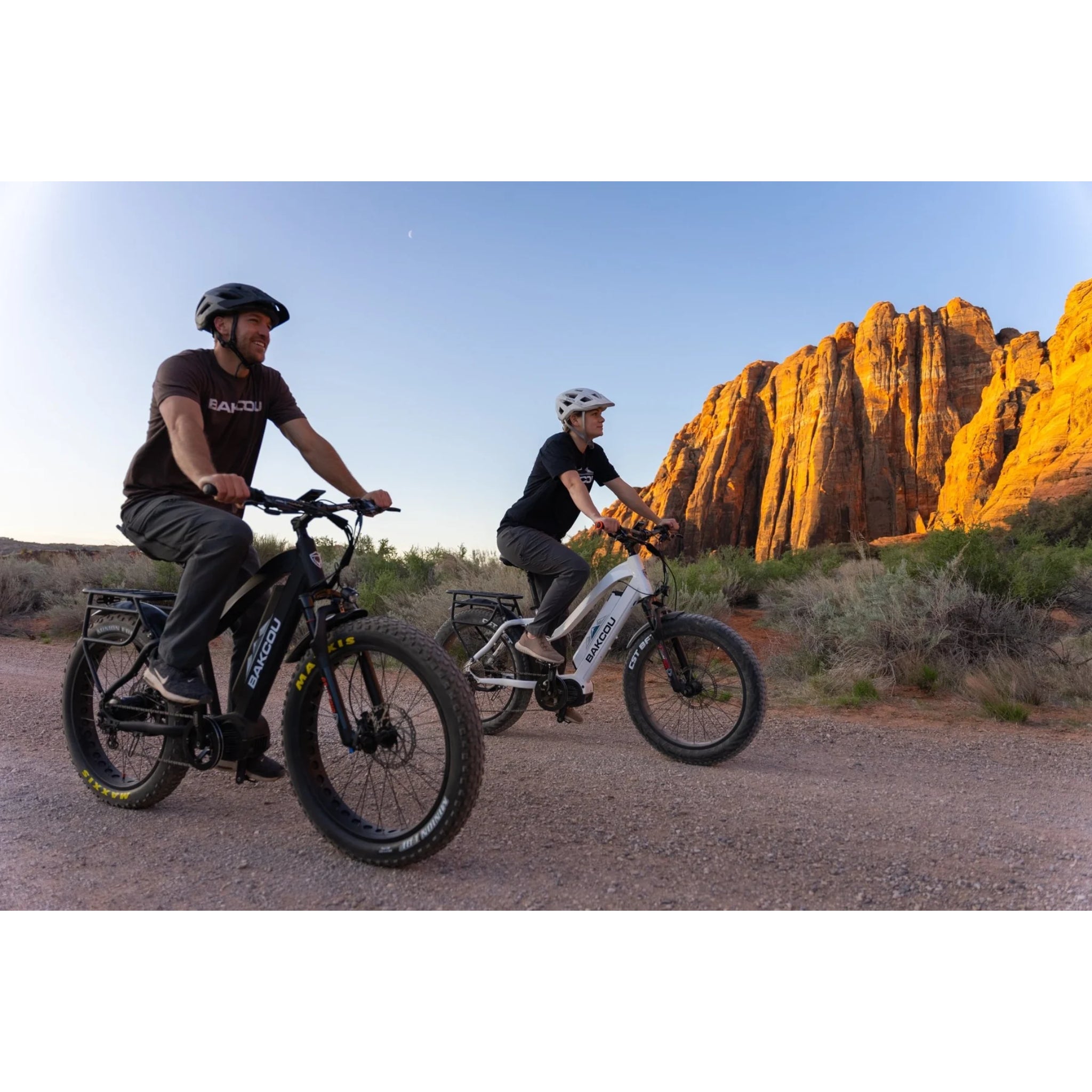 BAKCOU - MULE Step-Through (ST) 24" Electric Bike 48V 1500W