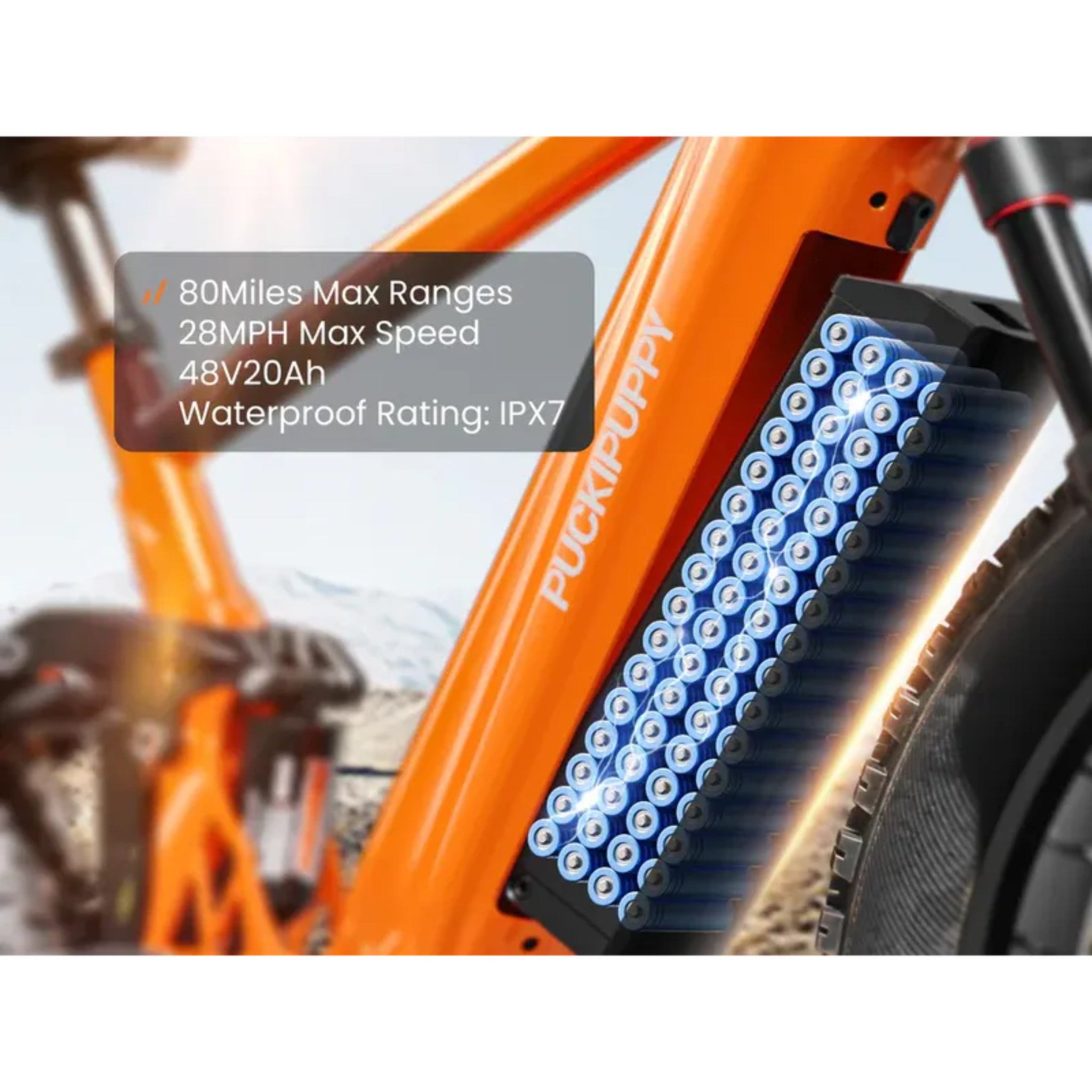 PUCKIPUPPY – GoldenR (Pro) Single/Dual-Motor Off-Road E-Bike 1100W 28MPH