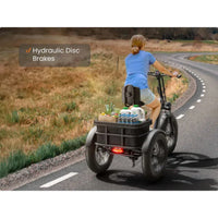 PUCKIPUPPY – Husky E-Trike 750W 15mph