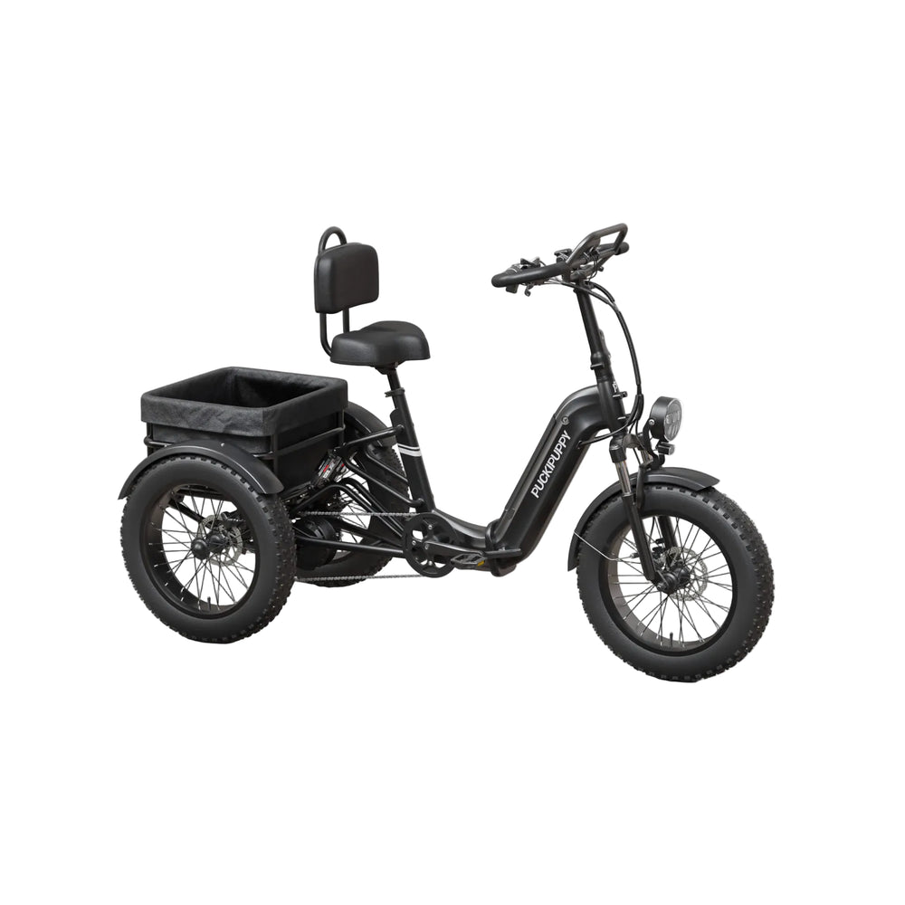 PUCKIPUPPY – Rottweiler E-Trike 750W 15mph