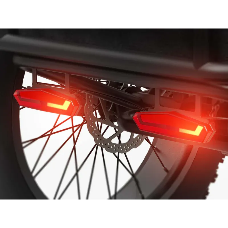 PUCKIPUPPY – Rottweiler E-Trike 750W 15mph