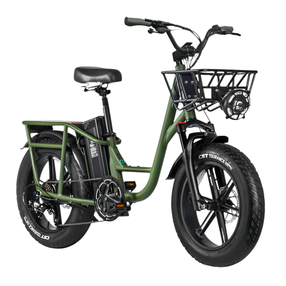 FIIDO - T1 Pro (Cargo) Utility E-bike 750W 22 MPH