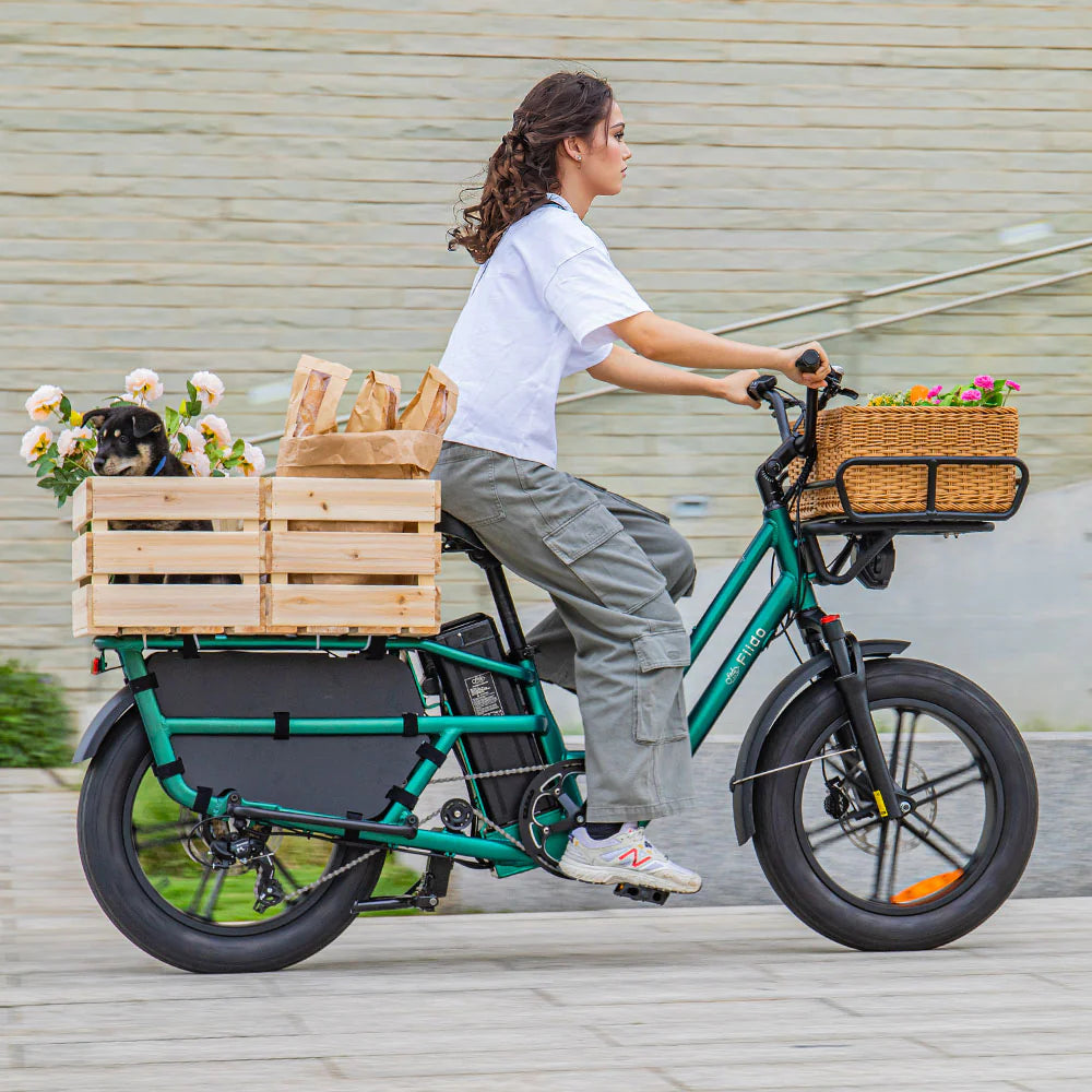 FIIDO - T2 Longtail Cargo E-bike 750W 20.5MPH