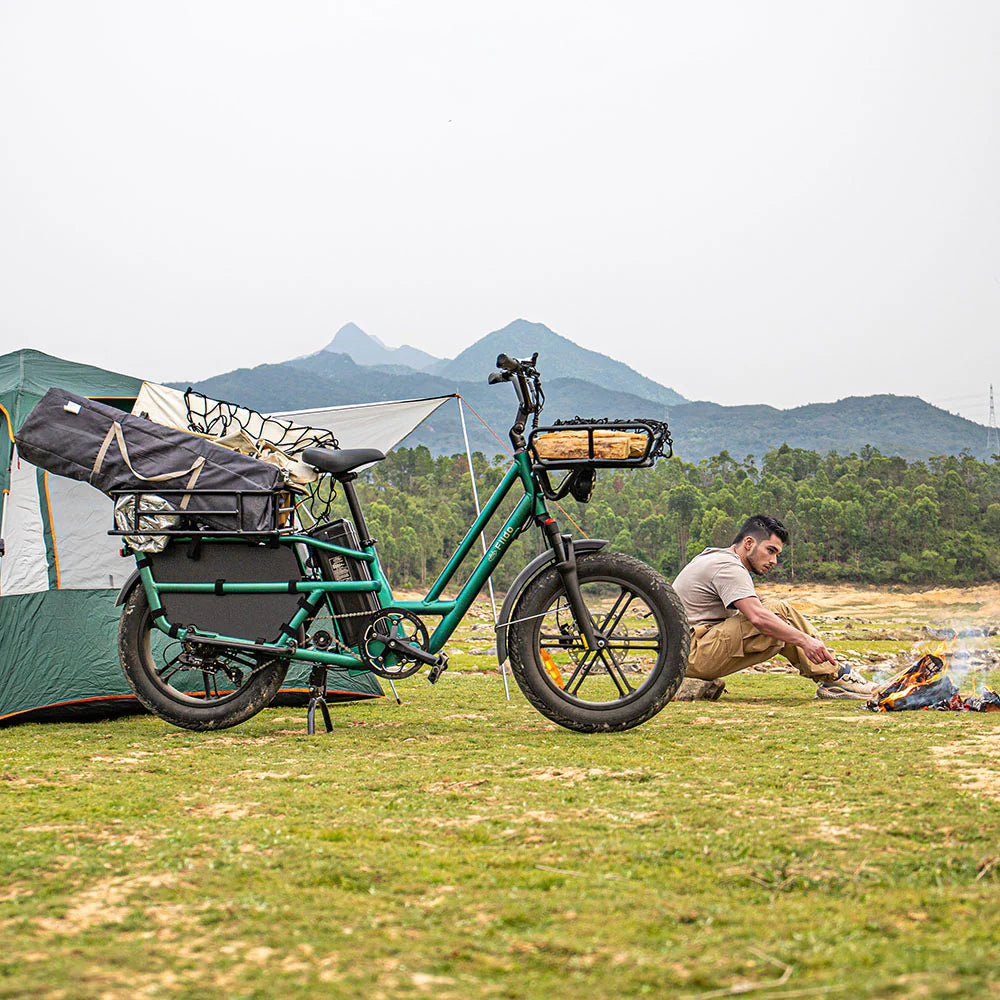 FIIDO - T2 Longtail Cargo E-bike 750W 20.5MPH